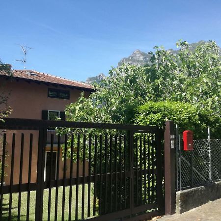 Appartamento Giardino Sugli Ulivi ريفا ديل غاردا المظهر الخارجي الصورة