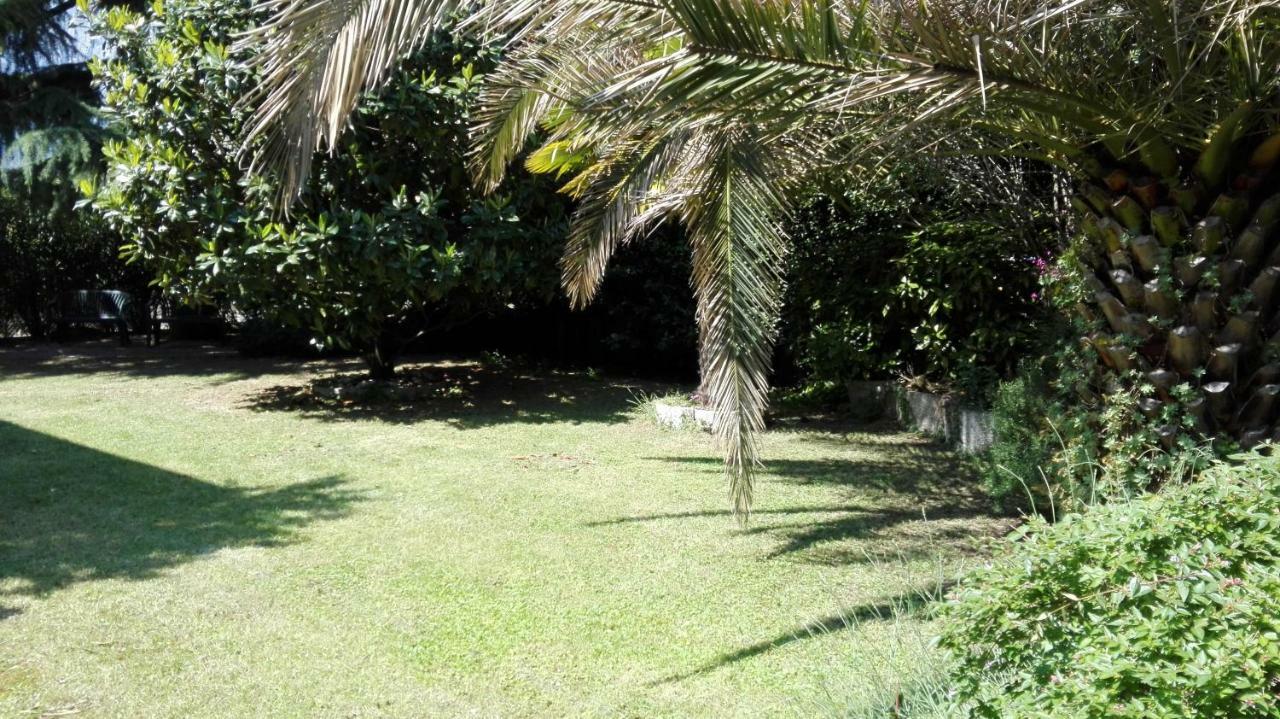 Appartamento Giardino Sugli Ulivi ريفا ديل غاردا المظهر الخارجي الصورة