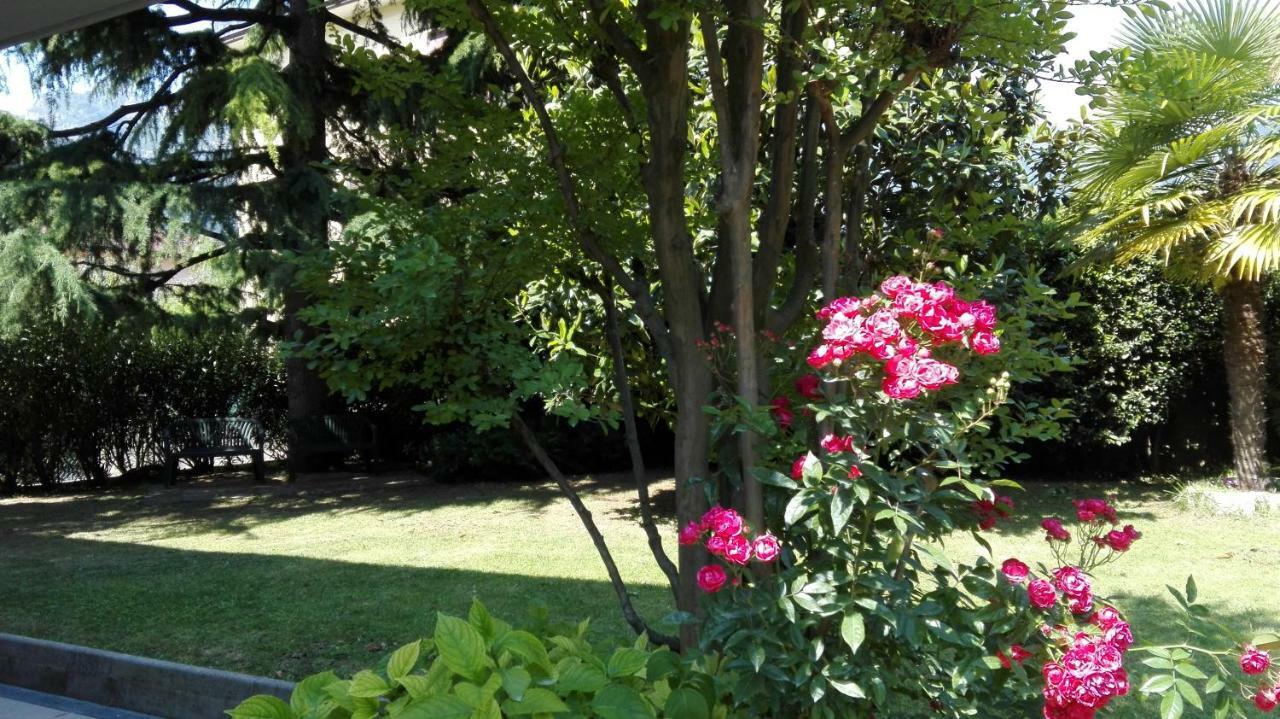 Appartamento Giardino Sugli Ulivi ريفا ديل غاردا المظهر الخارجي الصورة